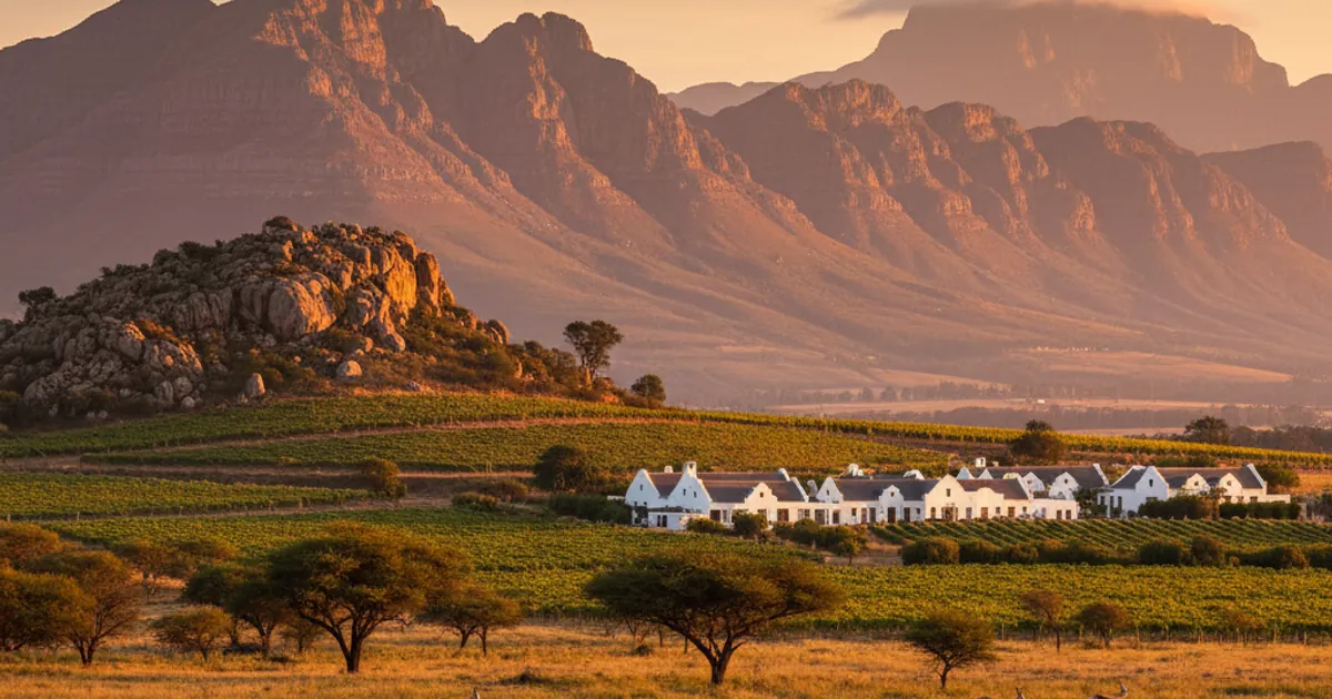 8 Best Game Reserves Near Cape Town for an Unforgettable Safari