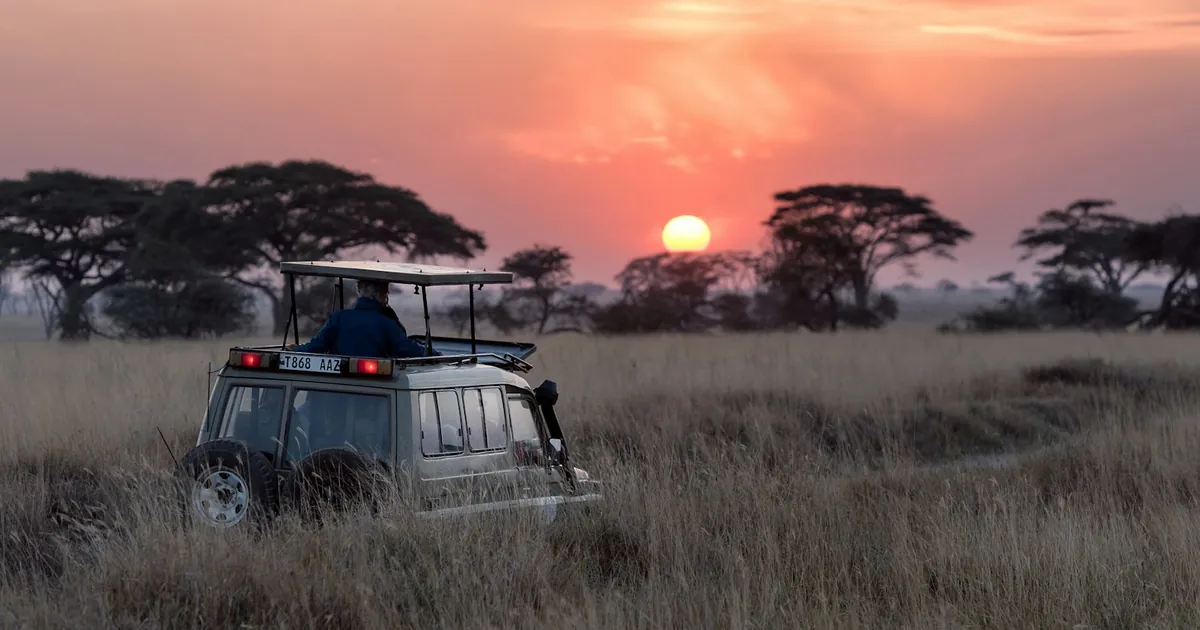 The Best Time of Year to Go on Safari: A Month-by-Month Guide
