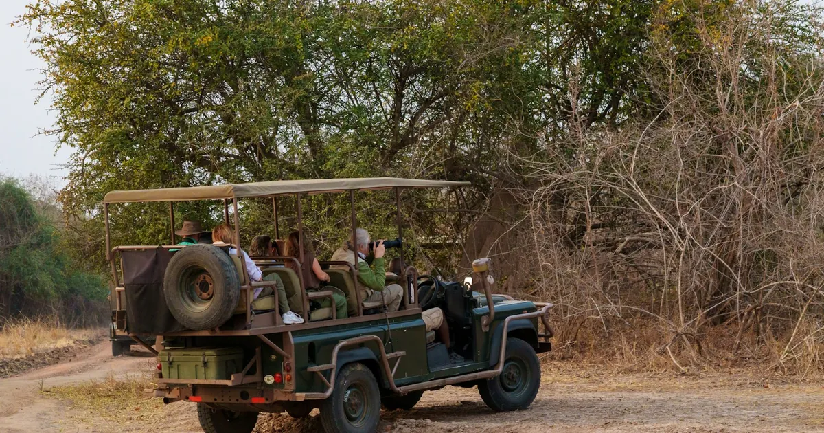 Self-Drive vs Guided Safari: Which Is Right for You?