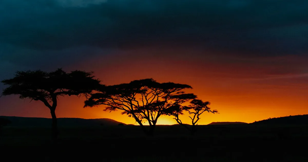 Serengeti vs Masai Mara: Which Migration Park Should You Choose?