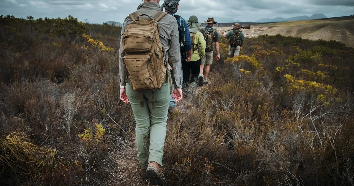 Walking Safari vs Game Drive: Which Experience Is for You?