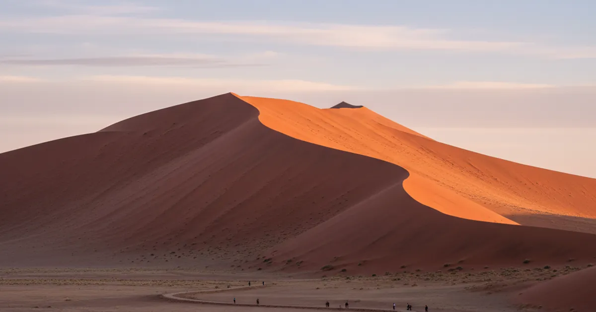 The Complete Guide to Safari in Namibia