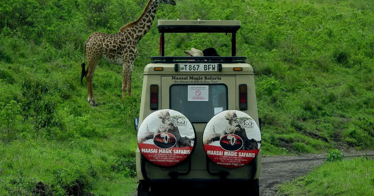 Safari in Pololeti Game Reserve