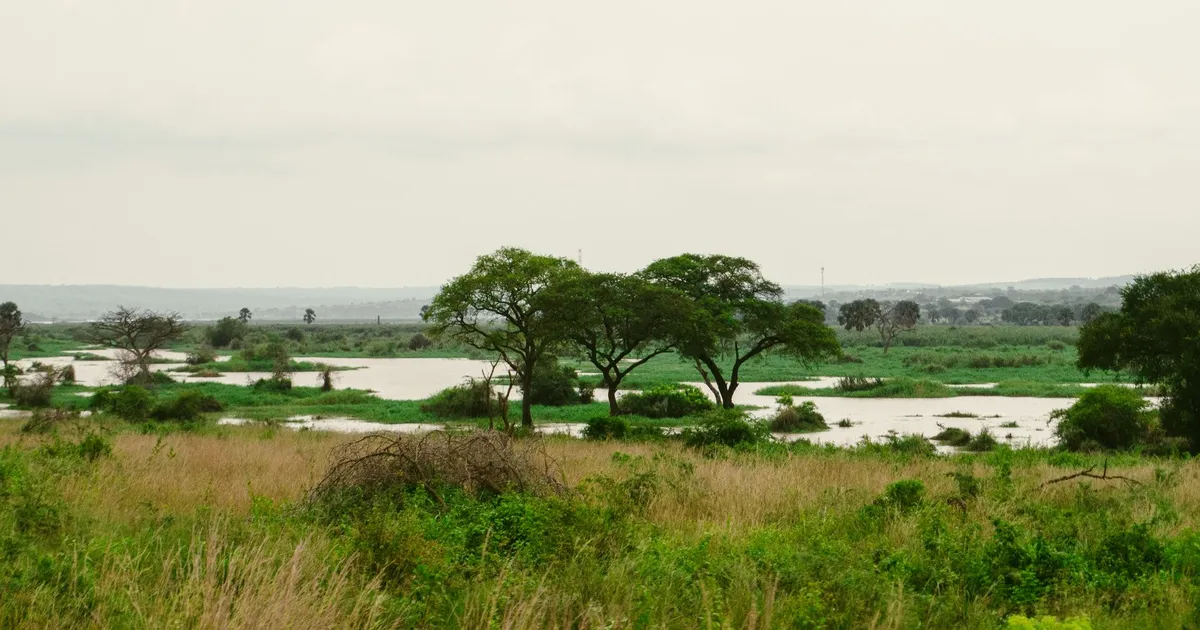 Safari in West Madi Wildlife Reserve